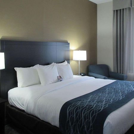 Comfort Inn Port Huron Buitenkant foto